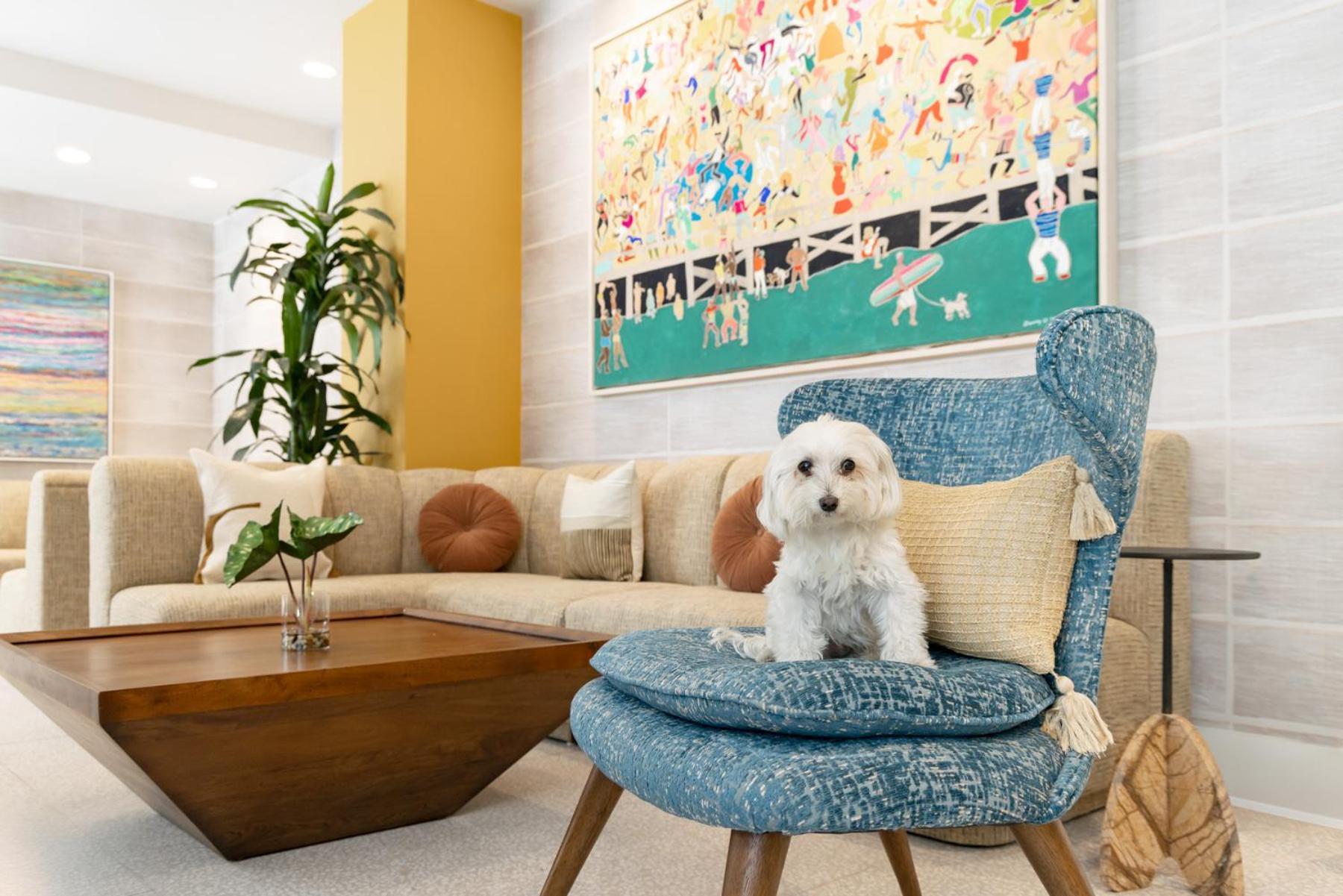 Hotel Continental Miami Beach, Tapestry Collection By Hilton Buitenkant foto